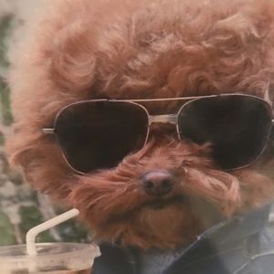 Meet your Posher, Allison